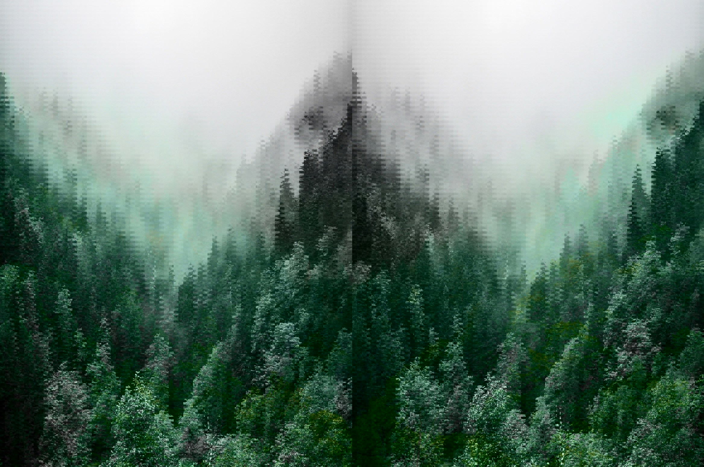 Bridgehill Achieves ISO 9001 And 14001 December 2025