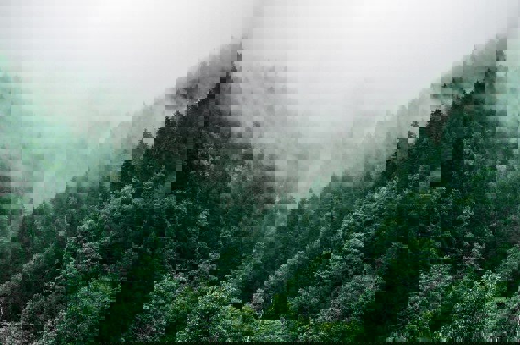 Bridgehill Achieves ISO 9001 And 14001 December 2025